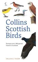 Collins Scottish Birds