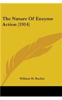 The Nature Of Enzyme Action (1914)