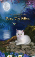 True Story of Daisy the Kitten