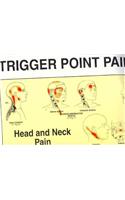 Travell and Simons' Trigger Point Pain Patterns Wall Charts: Wall Charts