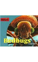 Bedbugs
