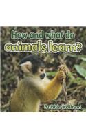How and What Do Animals Learn