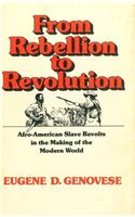 From Rebellion to Revolution