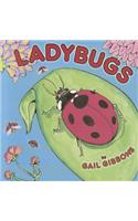 Ladybugs