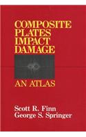 Composite Plates Impact Damage