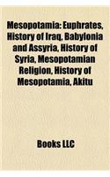 Mesopotamia: Sumer, Euphrates, History of Iraq, Babylonia and Assyria, Tigris, History of Syria, History of Mesopotamia, Mesopotamian Marshes(English)