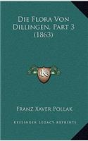 Die Flora Von Dillingen, Part 3 (1863)
