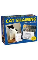 Cat Shaming 2020 Day-to-Day Calendar
