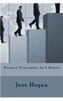 Project Principles In 5 Hours