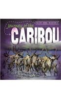 Journey of the Caribou: (Massive Animal Migrations)