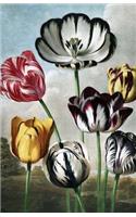 Tulip Wide Rule Journal