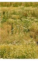 Chamomile English Tea Field Journal: Take Notes, Write Down Memories in this 150 Page Lined Journal
