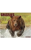 Grizzlies