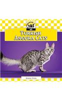 Turkish Angora Cats