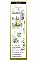Common Weeds of the Northeast