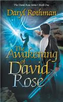 Awakening of David Rose
