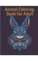 Animal Coloring Book For Adult