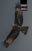 Falcon Hawk Bird Watching Ornithology Week Planner Weekly Organizer Calendar 2020 / 2021 - Wide Wings