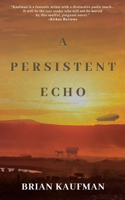 A Persistent Echo
