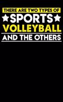 There are two types of sports Volleyball and the others: 100 page 6 x 9 Weekly journal to jot down your ideas and notes