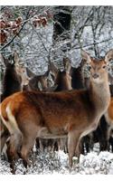 Herd of Deer on the Edge of a Meadow Journal