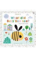 Tiny Town What did Busy Bee see?: (Tiny Town Touch and Trace)