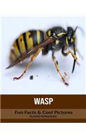 Wasp: Fun Facts & Cool Pictures