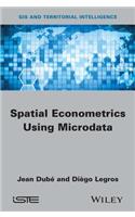 Spatial Econometrics Using Microdata