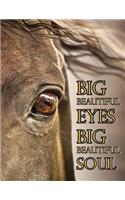 Big Beautiful Eyes Big Beautiful Soul: Journal, Diary, Notebook, Daily Planner, 365 Lined Pages, Large Size Book 8 1/2" X 11"