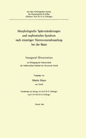 Morphologische Spätveränderungen und nephrotisches Syndrom nach einseitiger Nierenvenendrosselung bei der Ratte