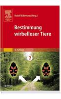 Bestimmung Wirbelloser Tiere