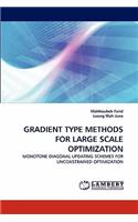 Gradient Type Methods for Large Scale Optimization