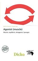 Agonist (Muscle)