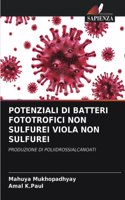 Potenziali Di Batteri Fototrofici Non Sulfurei Viola Non Sulfurei