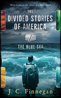 Divided Stories of America