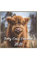 Baby Cow calendar 2020