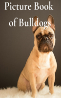 Picture Book of Bulldogs