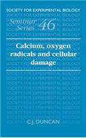 Calcium, Oxygen Radicals and Cellular Damage