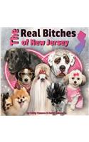 Real Bitches of New Jersey