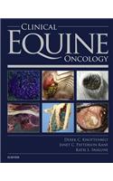 Clinical Equine Oncology