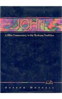 John: A Commentary for Bible Students