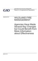 Wildland Fire Management: Agencies Have Made Several Key Changes but Could Benefit from More Information about Effectiveness