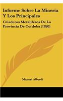 Informe Sobre La Mineria Y Los Principales