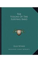 Visions of the Sleeping Bard