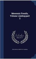 Mesozoic Fossils, Volume 1, part 2