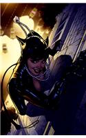 Catwoman The Long Road Home TP