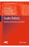 Snake Robots: Modelling, Mechatronics, and Control(Advances in Industrial Control)