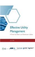Effective Utility Management: A Primer for Water and Wastewater Utilities