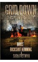 Grid Down Perceptions Of Reality Vol 2 Book 1