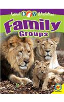 Family Groups